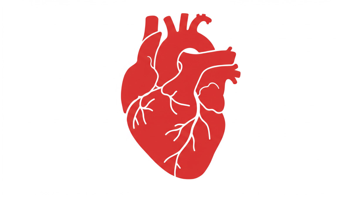 heart